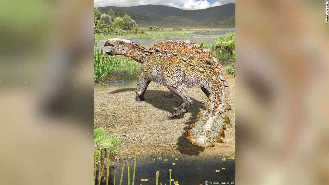 Chile dinosaur's fossil may be best ancestor to Velociraptor found yet