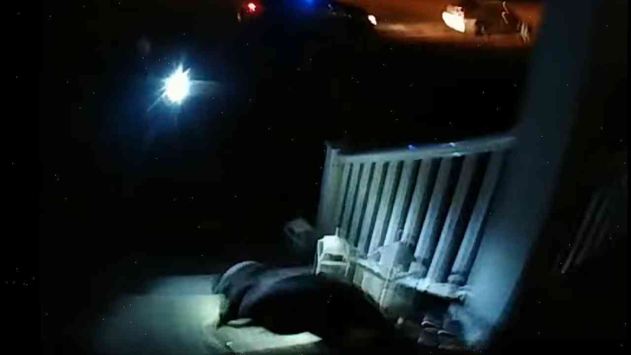 Police officer kicked dog in the head, video shows