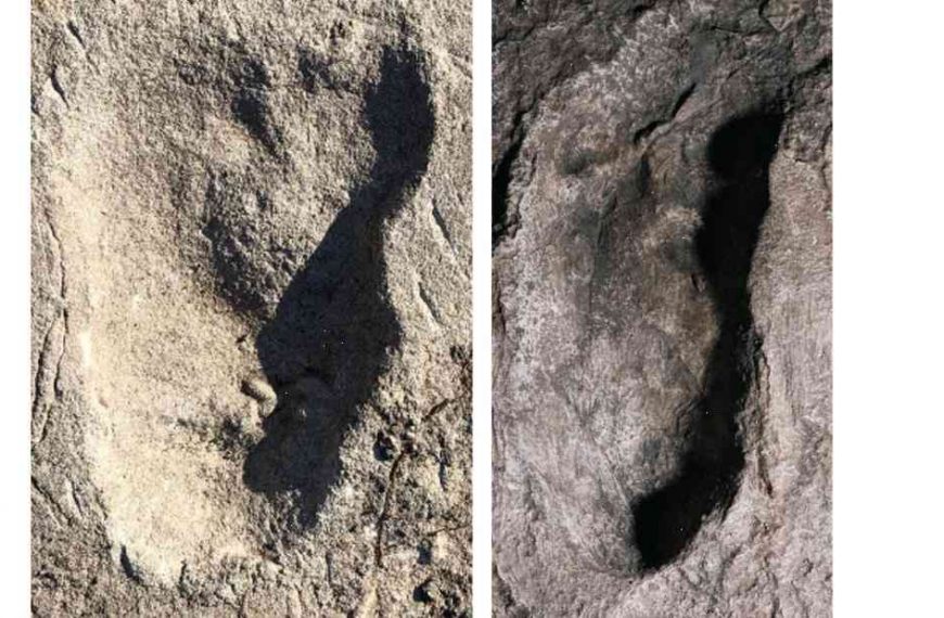 There’s a mystery giant on a frigid lake in Mongolia that could be a hominid