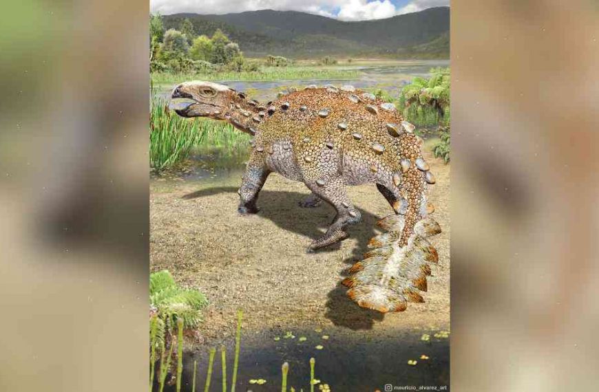 Chile dinosaur’s fossil may be best ancestor to Velociraptor found yet